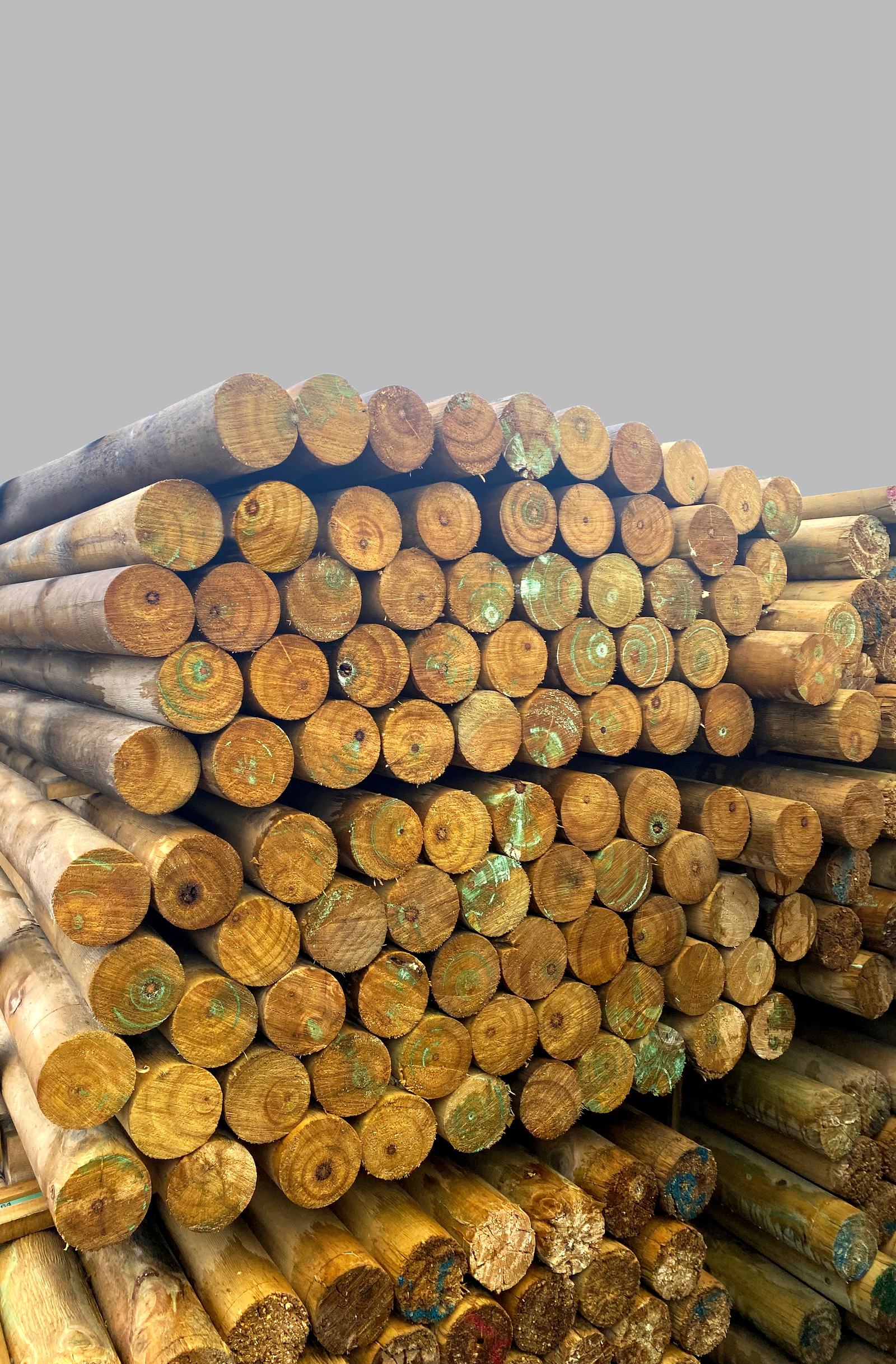 Logs